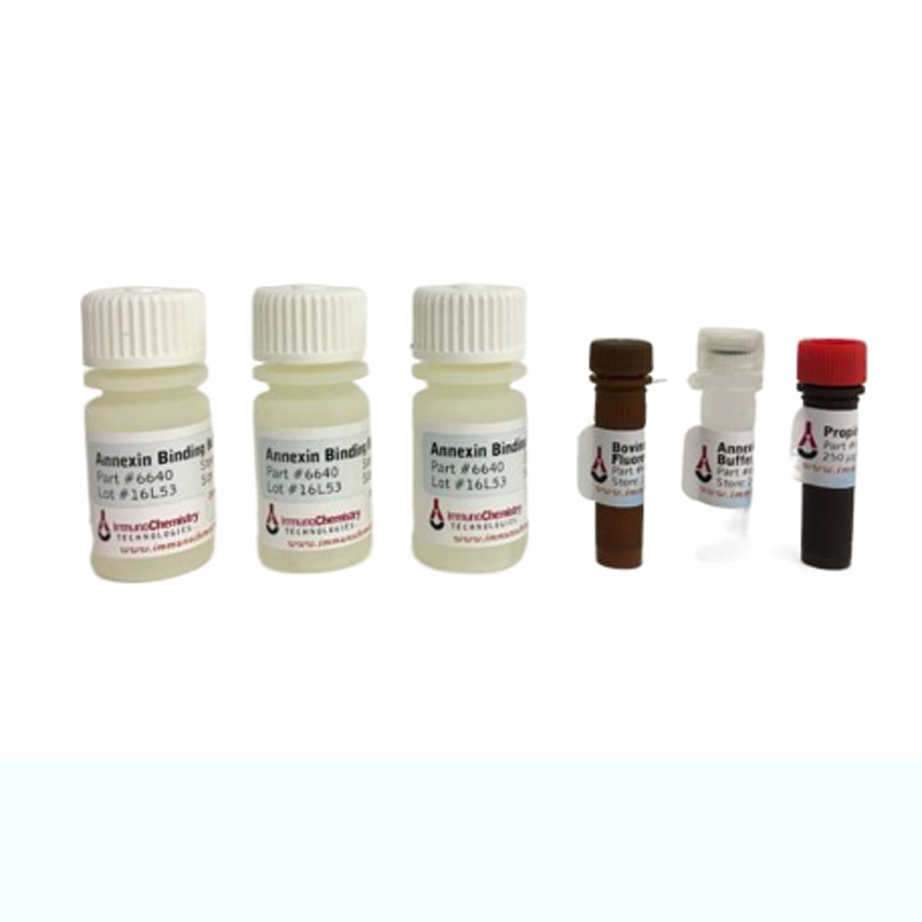 牛膜联蛋白V-荧光素凋亡检测试剂盒 Bovine Annexin V-Fluorescein Apoptosis Assay Kit